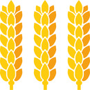 Logo Dresdener Mühle GmbH in Dresden